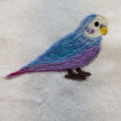 CEWeekDay3Year9sFeltedBirdsJuly202421)